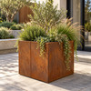 Corten Steel Planter Box – 500mm High | Australian Made